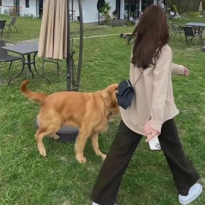 瓦坎达之眼